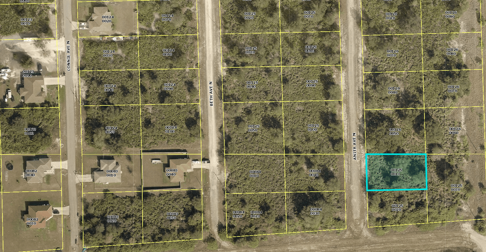 Reduced $$$ A Secure Investment – 0.25 Acres in Florida