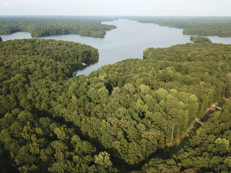 Troup, Land for Sale Landmodo