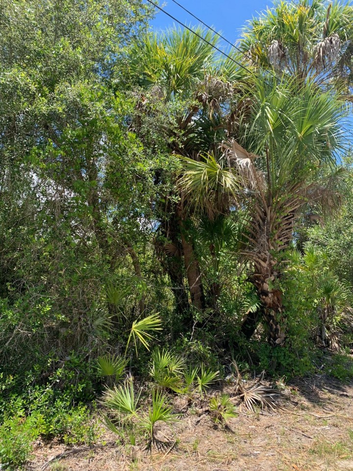 Port Charlotte - .23 Acre Lot on Canal