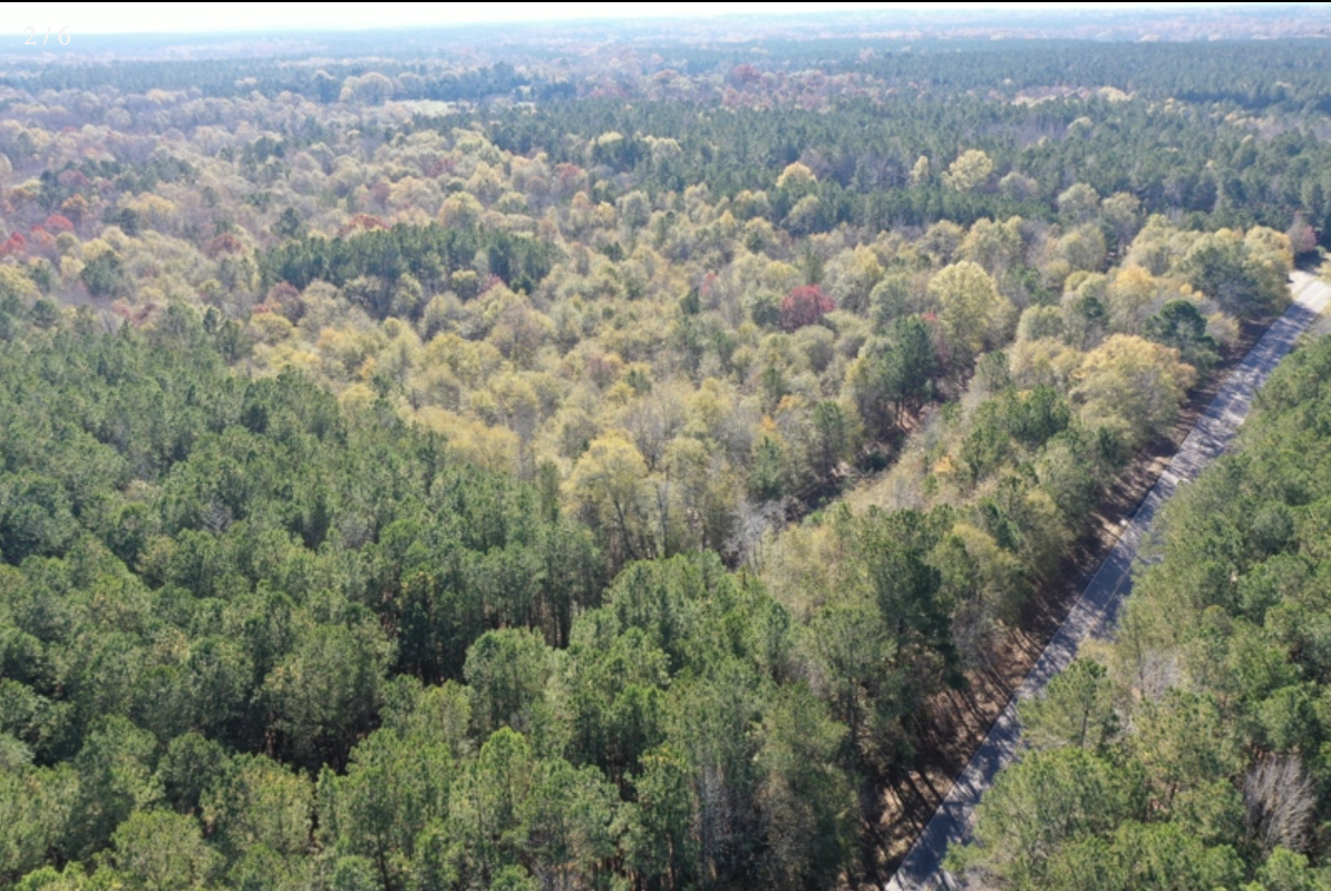 The space you need -19.25 acres in Georgia