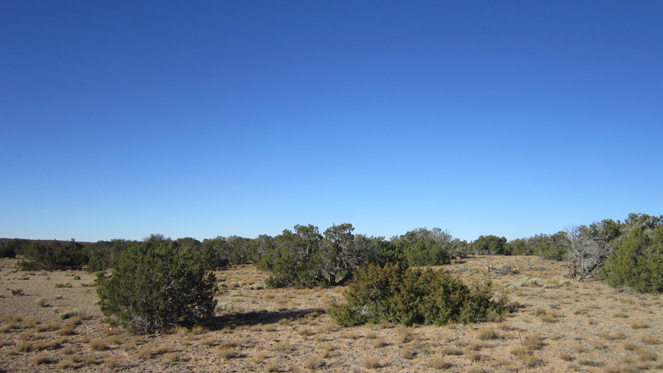 N/A, near Apache County N7200, St Johns, AZ 85936, Apache County, Dane