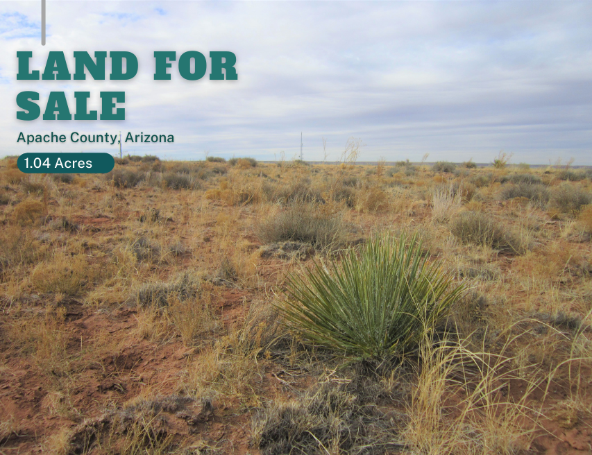 1.04-acre Lot Close to the Painted Desert - Own this Gem Now!