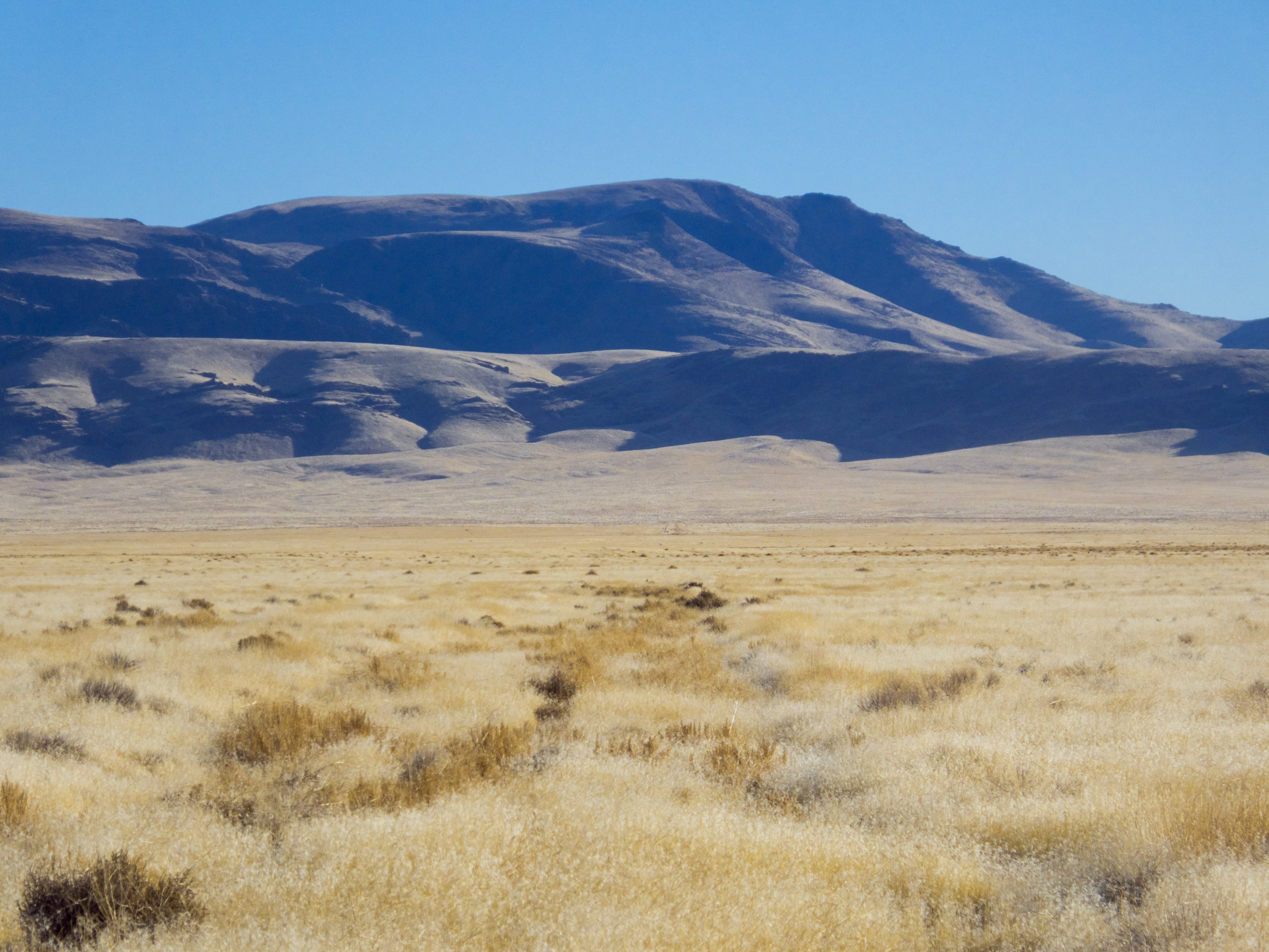 Half a sq. mile way off the grid of mountain views and grasses