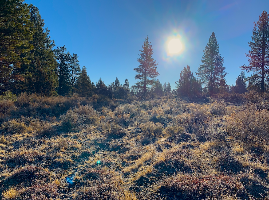 Pheasant Ln, Chiloquin, Klamath, Oregon, 97624 Land for Sale Landmodo