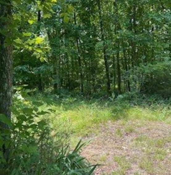 0 Ridgedale Rd, Highlandville, Christian, Missouri, 65669 Land for Sale