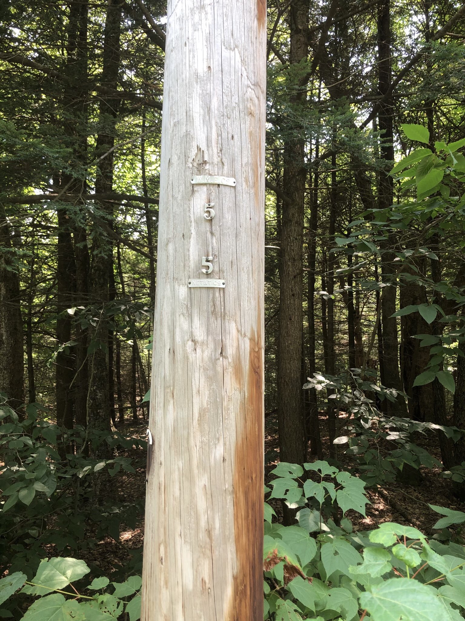 0 Moberg Road, Becket, Bristol, Massachusetts, 1223 Land for Sale