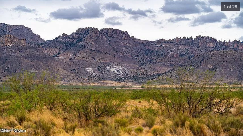 Gorgeous 20-Acre Lot in Cochise County, AZ! Priced to Sell Fast!