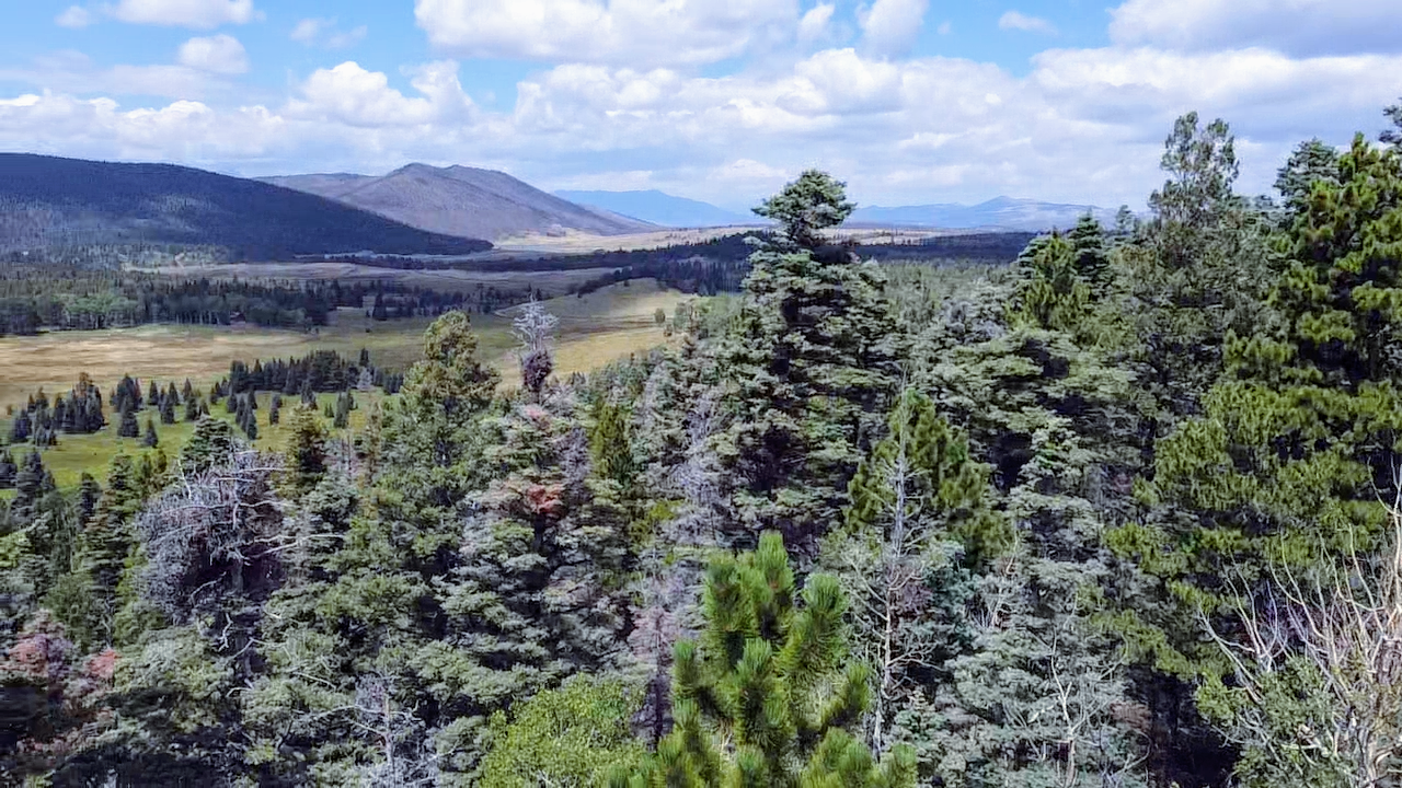 Forbes Park, Fort Garland, Costilla, Colorado, 81133 Land for Sale