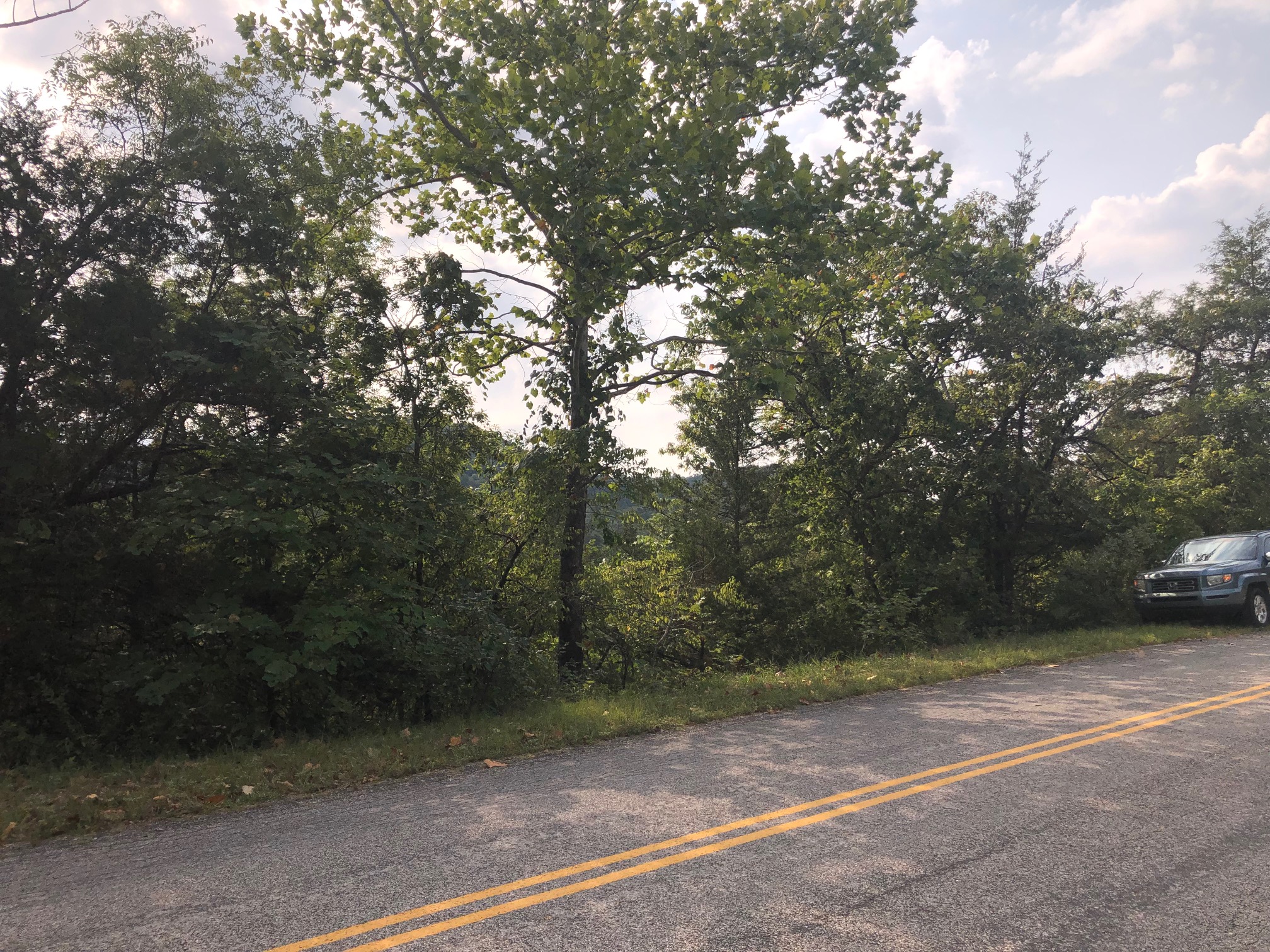 Table Rock Dr, , AR , USA, Eureka Springs, Carroll, Arkansas, 72631 Land for Sale Landmodo