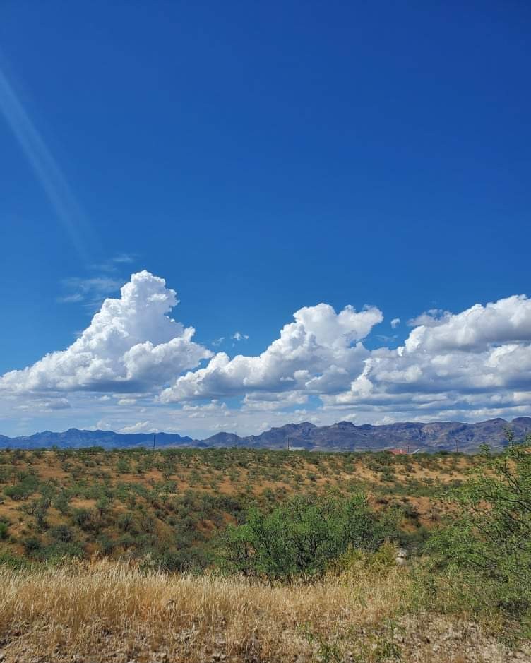 395 Calle Muelle, Rio Rico, AZ 85648, Rio Rico , Santa Cruz, Arizona