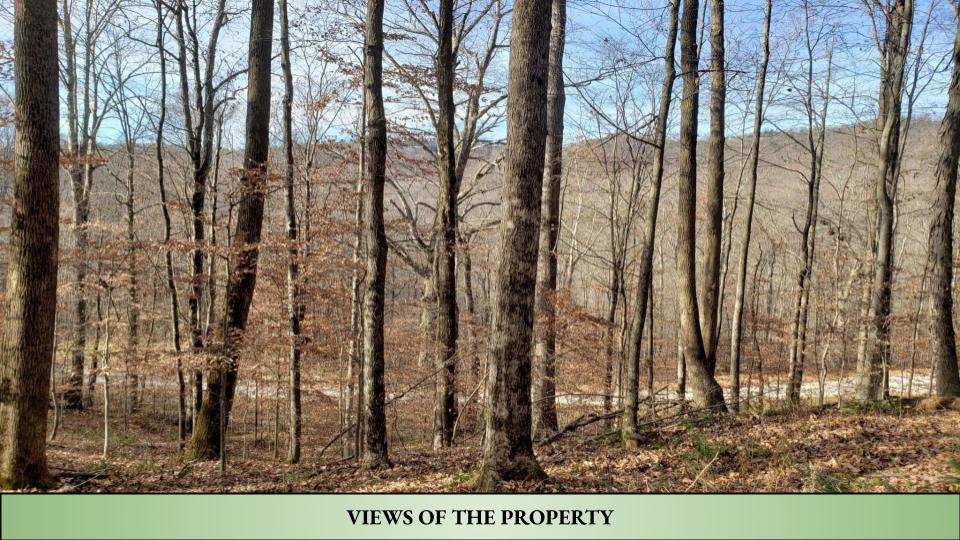 5.00-acre HUNTING land in Jamestown City, Fentress County, TN -- GATED COMMUNITY; Rock Castle SUBDIVISION -- MOUNTAIN VIEWS -- UTILITIES AVAILABLE NEARBY- Buy NOW for only $31,760