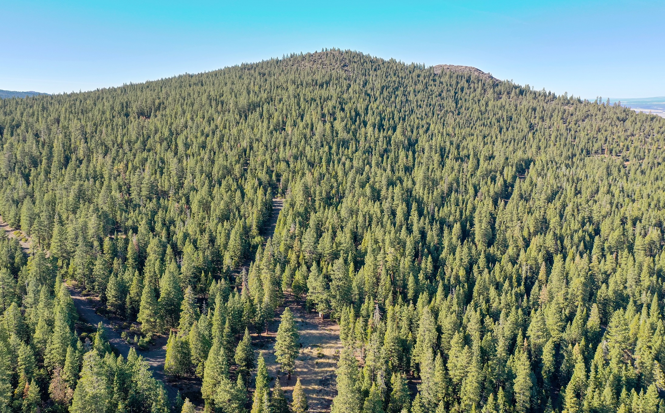 Dalton Road, Alturas, CA, USA, Alturas, Modoc, California, 96101 Land