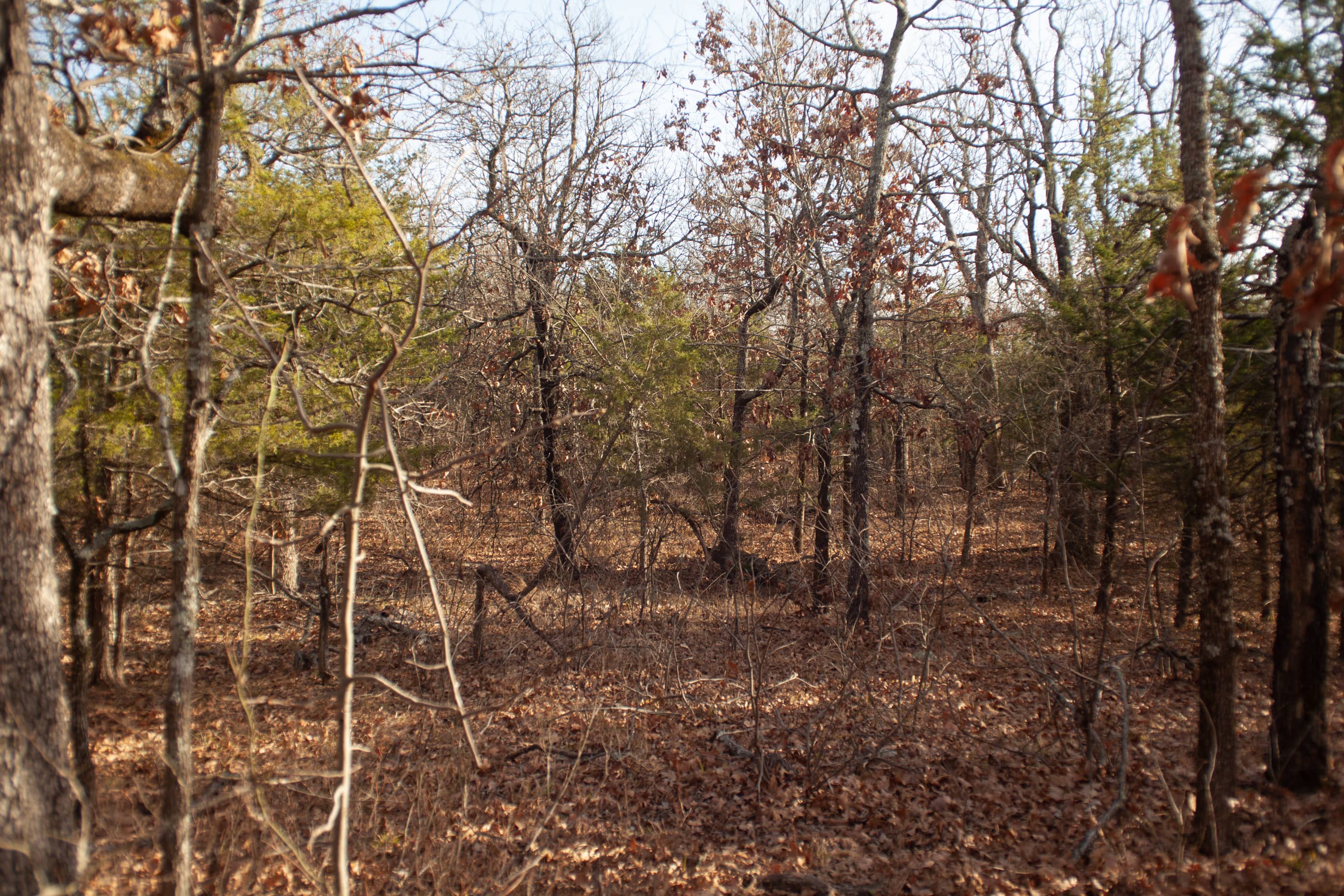 , Longtown, Pittsburg, Oklahoma, US, 74432 Land for Sale Landmodo