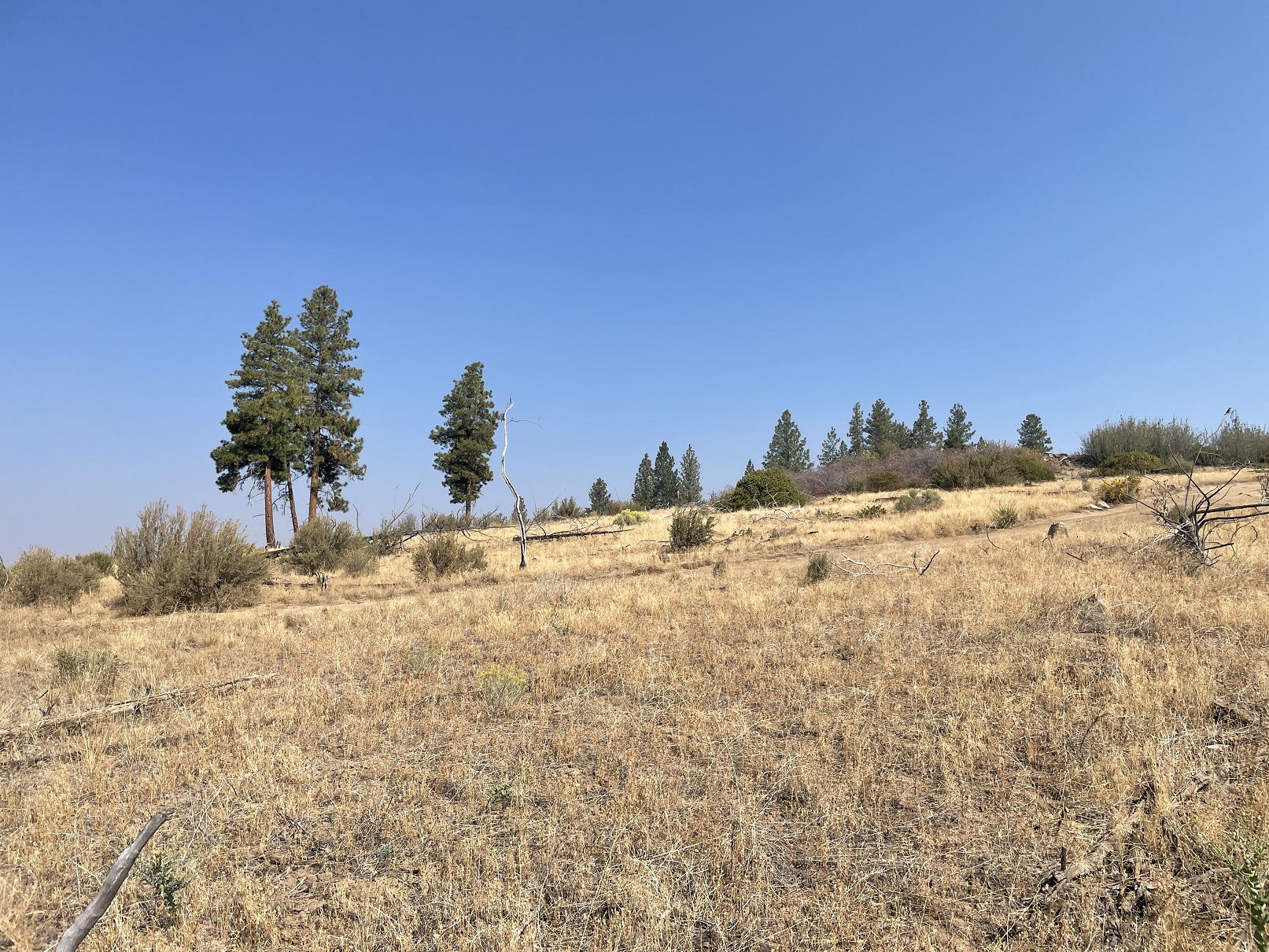 Hill Road, Chiloquin, OR, USA, Chiloquin, Klamath, Oregon, 97624 Land