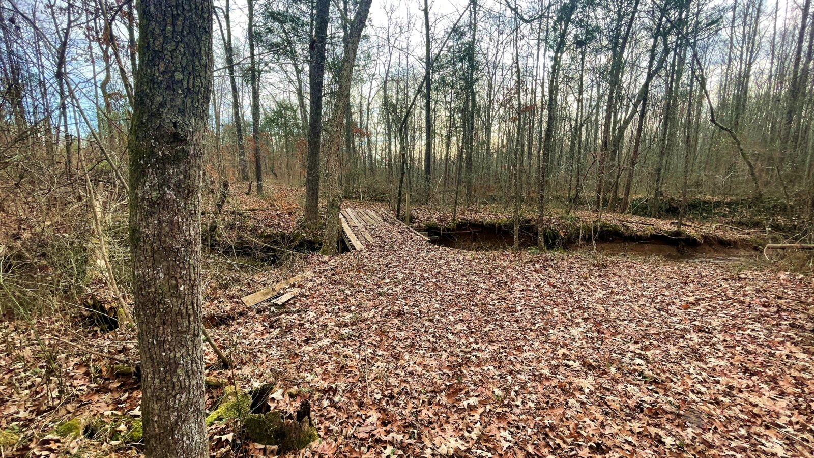 HARDIN COUNTY, TN | 24.53 acres | No Restrictions | Power & Water | 15 mins to Tennessee River