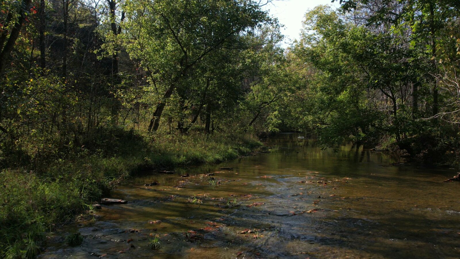 SHELBY COUNTY, KY | 31.07 acres | Hunter’s Ranch w/Creek, Pond, & Driveway in Bluegrass Country