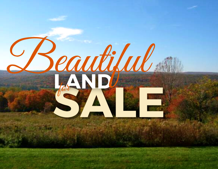 2.54-Acre Superb Lot in New Scotland, Albany NY